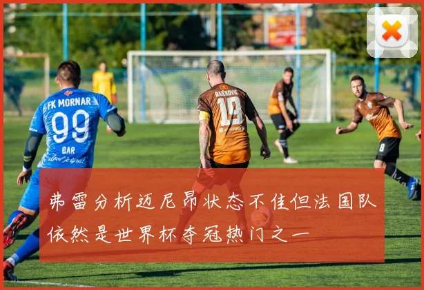 弗雷分析迈尼昂状态不佳但法国队依然是世界杯夺冠热门之一